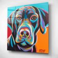 thumbnail image 2 of Epic Art 'Dog Friend II' by Carolee Vitaletti, Acrylic Glass Wall Art, 12"x12", 2 of 8