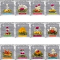 thumbnail image 2 of Paquete de 12 variedades florecientes únicas de Tea Teabloom Flowering, 2 of 8