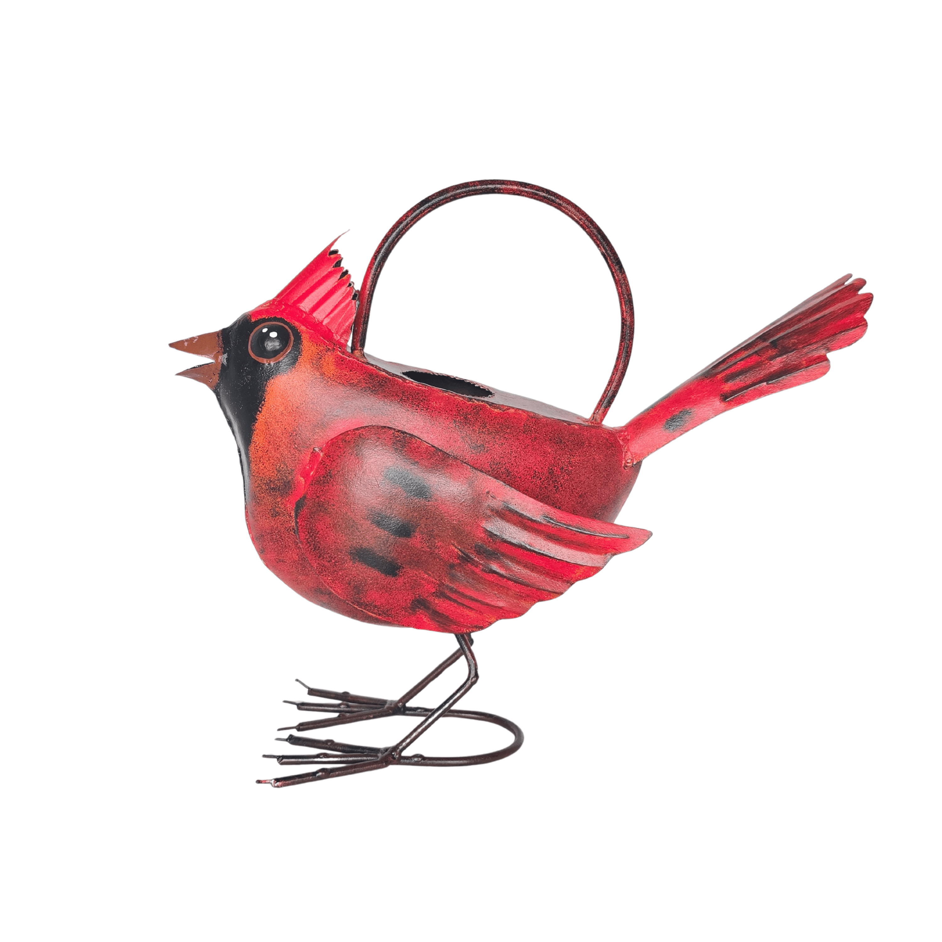 Gift Essentials GEBLUEG576 Cardinal Watering Can