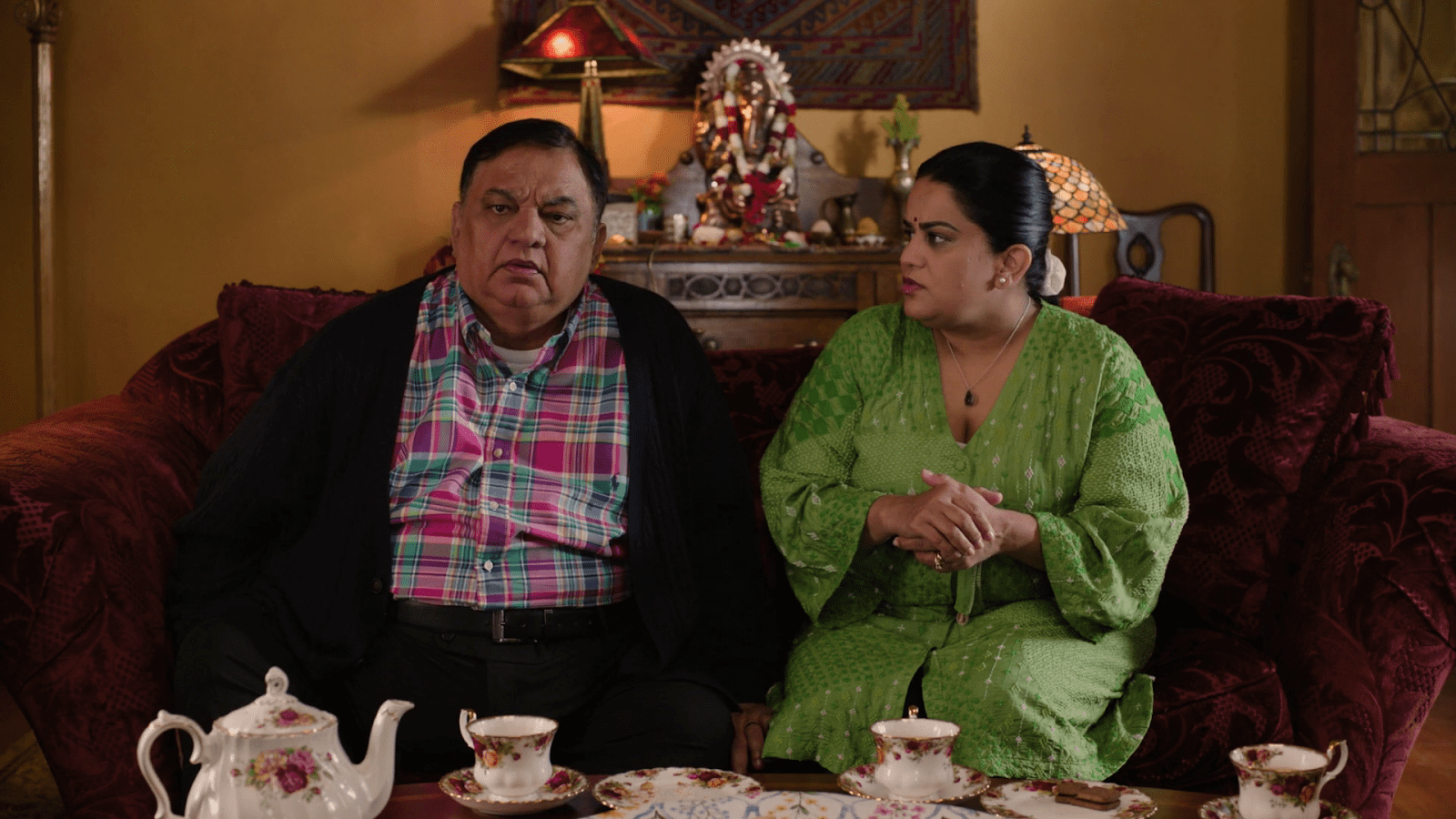 A Nice Indian Boy (2025) Romance,Comedy D v D
