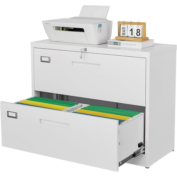 2 Drawer Metal Filing Organization Office Cabinets with Lock,Lateral File Cabinets for Home Office Hanging Files Letter/Legal/F4/A4 Size (2 Drawer-White)