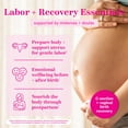 thumbnail image 3 of Té para el embarazo Pink Stork Labor Prep con frambuesa y manzanilla, 3 of 8