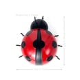 thumbnail image 2 of Estatua Realista Del Ornamento Pared La Mariquita Metal 2pcs IP44 Impermeable, 2 of 9