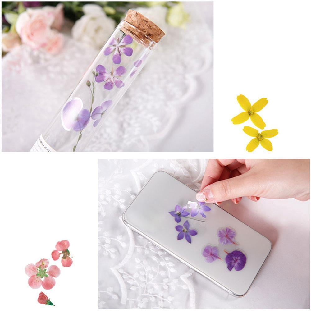 Planner Creative Handmade Craft Flower Decal Plant Scrapbooking Label Decoration Paper Stationery Sticker Handbook Decoration Decorative Stickers O8H7