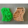 thumbnail image 5 of Pregnant womb fetus anatomy Cookie Cutter- Fast Shipping - Sharp Edges - Exceptional Quality, 5 of 5