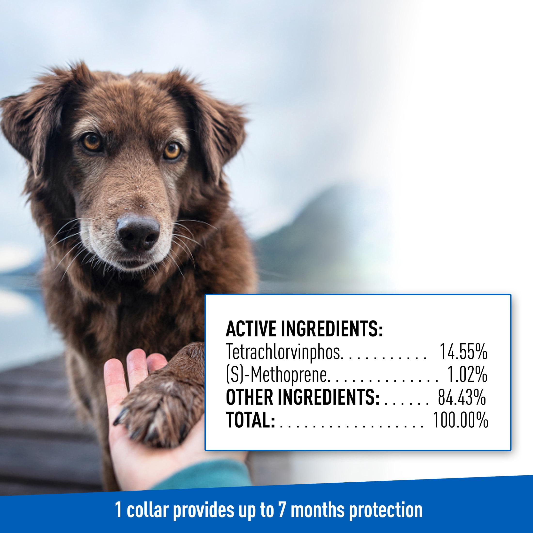 ADAMS Flea & Tick Control Collar for Dogs, 7-Month Protection, Adjustable Collar Fits Dogs & Puppies, Kills Fleas & Ticks