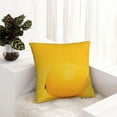 thumbnail image 5 of Wukai Yellow Lemon Premium Polyester Fleece Pillow Covers with Hidden Zipper Closure,Luxuriously Soft and Durable-16"x16", 5 of 7