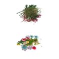thumbnail image 1 of 54x coloridas flores naturales prensadas reales manojo orgánico de hojas secas decoraciones de bricolaje, 1 of 9