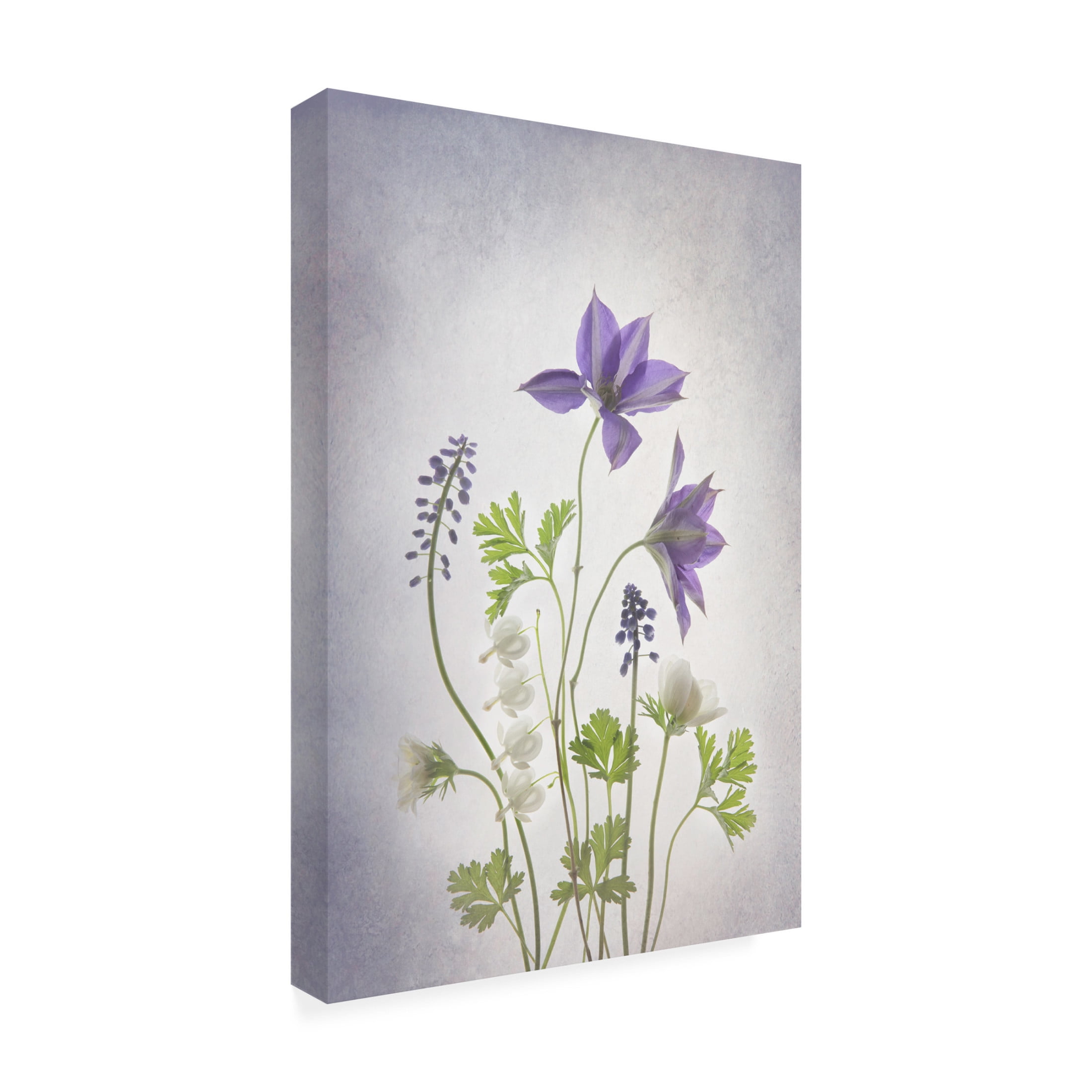 Trademark Fine Art Binbin L. Spring Canvas Wall Art