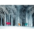 thumbnail image 2 of Arlo Wren Photos 32x24 White Modern Wood Framed Museum Art Print Titled - Kings of the Wild Frontier, 2 of 4