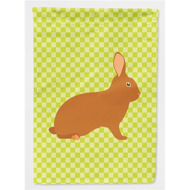 Carolines Treasures BB7795CHF Rex Rabbit Drapeau Vert Maison en Toile