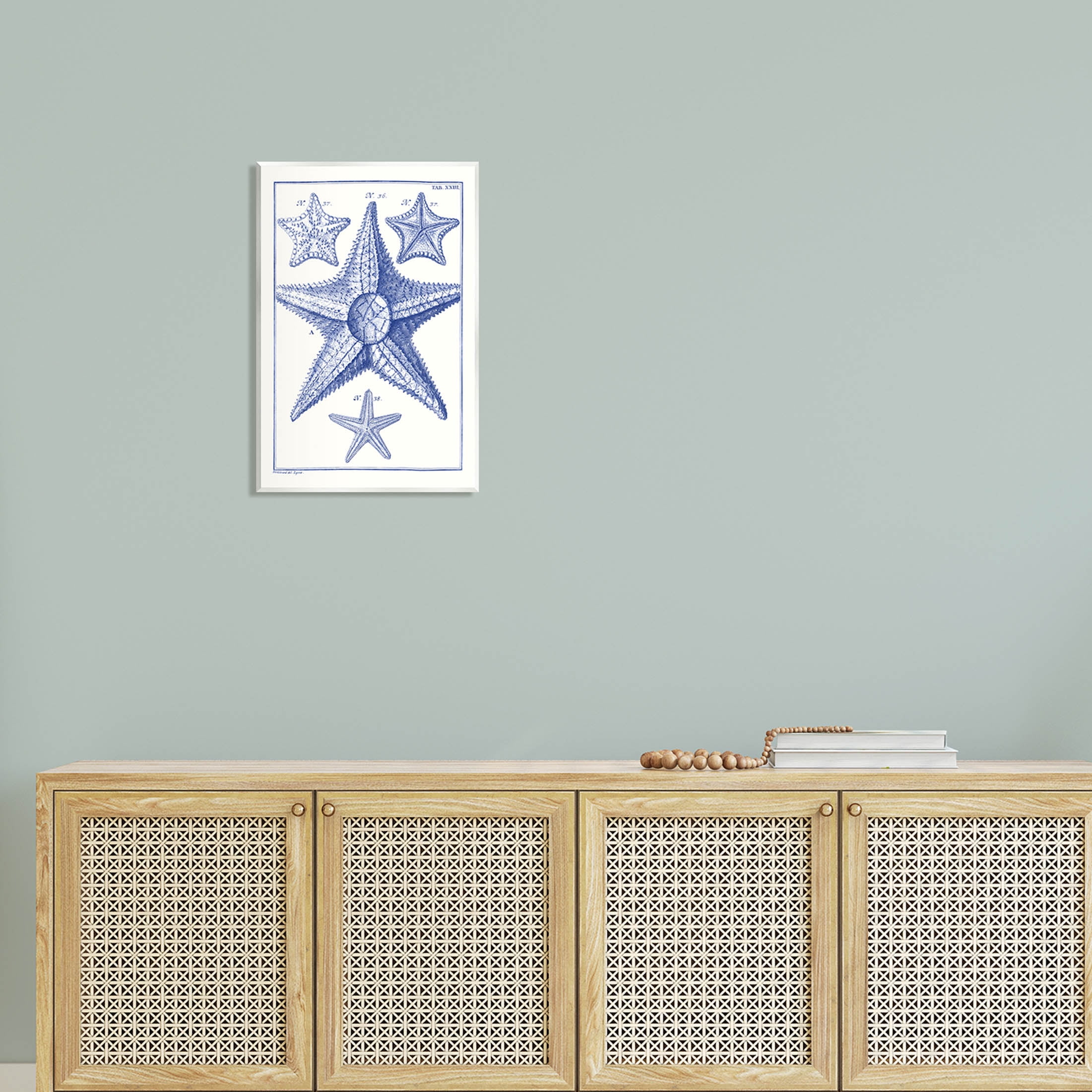 Stupell Industries Detailed Nautical Starfish Study Graphic Art Unframed Art Print Wall Art, Design by Vision Studio