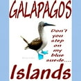 thumbnail image 3 of CafePress - Galapagos Islands Ash Grey T Shirt - Light T-Shirt - CP, 3 of 4