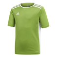 thumbnail image 1 of adidas Boys' Entrada Jersey, Rave Green/White, X-Large, 1 of 6