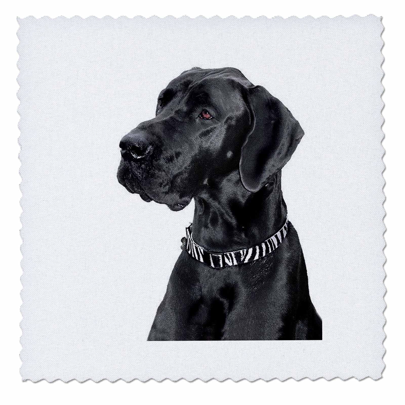 3dRose Black Great Dane Quilt Square, 10 by 10inch