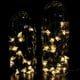 thumbnail image 4 of Luces de cadena LED pequeñas alimentadas por USB Honeybee, impermeables, de color blanco cálido con control remoto para uso en interiores y exteriores, fiestas navideñas, estantes para plantas de jard, 4 of 4