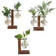 thumbnail image 2 of Soporte De Jarrón De Vidrio Con Marco De Madera Vintage Para Plantas Pequeñas, Diseño Exquisito, Mesa De Decoración Para Oficina O Hogar, 2 of 5