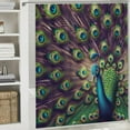 thumbnail image 6 of GOSMITH Purple and Teal Blooming Peacock Shower Curtain Multiple Sizes Durable and Washable White, 6 of 7