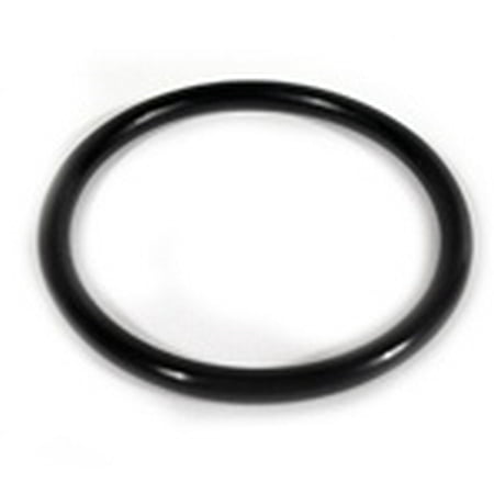 - Aqua Ultraviolet O-Ring for EZ Twist-Cap