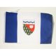 thumbnail image 1 of Bandera de los Territorios del Noroeste AZ FLAG 30x45 cm Poliéster, 1 of 1