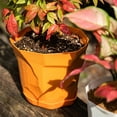 thumbnail image 7 of Hadanceo Flowerpot Durable  Plastic Succulents Flower Plant Pot Ornamental Useful for Balcony, 7 of 7