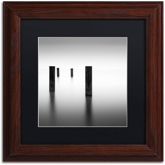 Trademark Fine Art "Lucid" Canvas Art by Dave MacVicar, Black Matte, Wood Frame