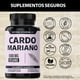 thumbnail image 5 of Extracto de Cardo Mariano Beyond Vitamins 100% Natural y Vegano con Raíz de Cúrcuma, 5 of 6