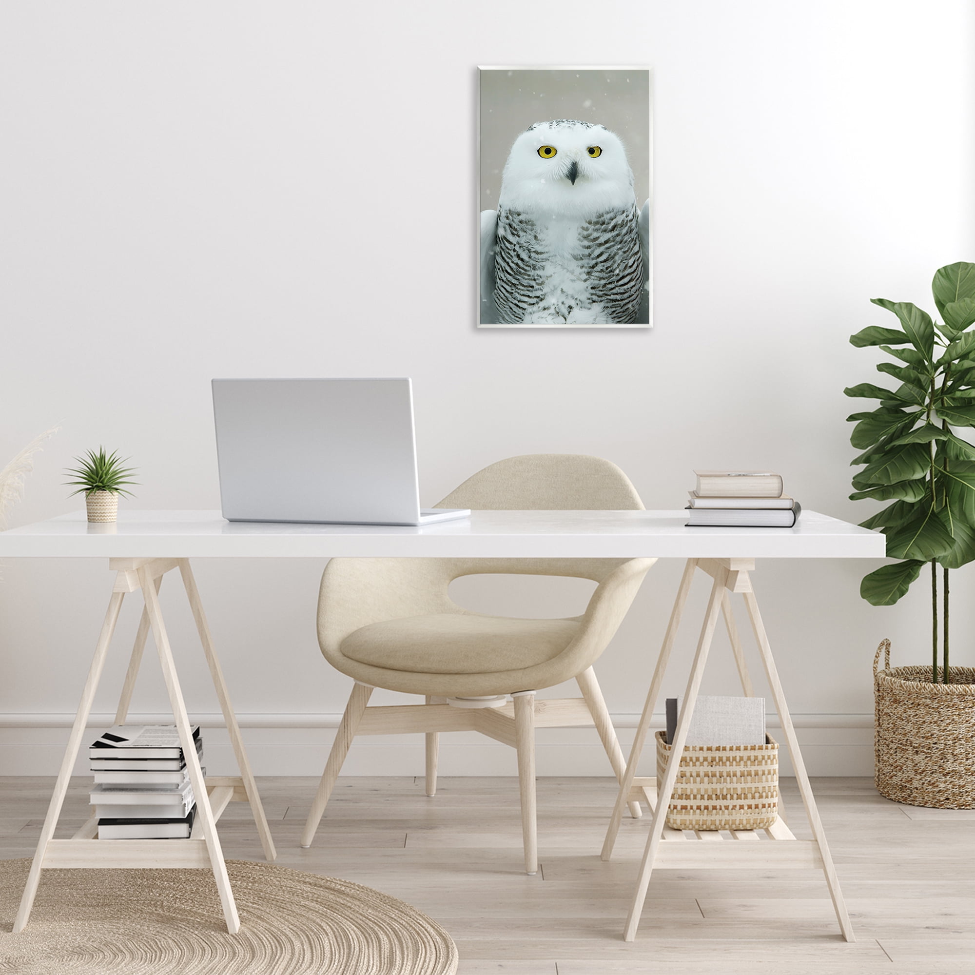 Stupell Industries Snowy Owl Portrait Animals & Insects Photography Unframed Art Print Wall Art, 13 x 19