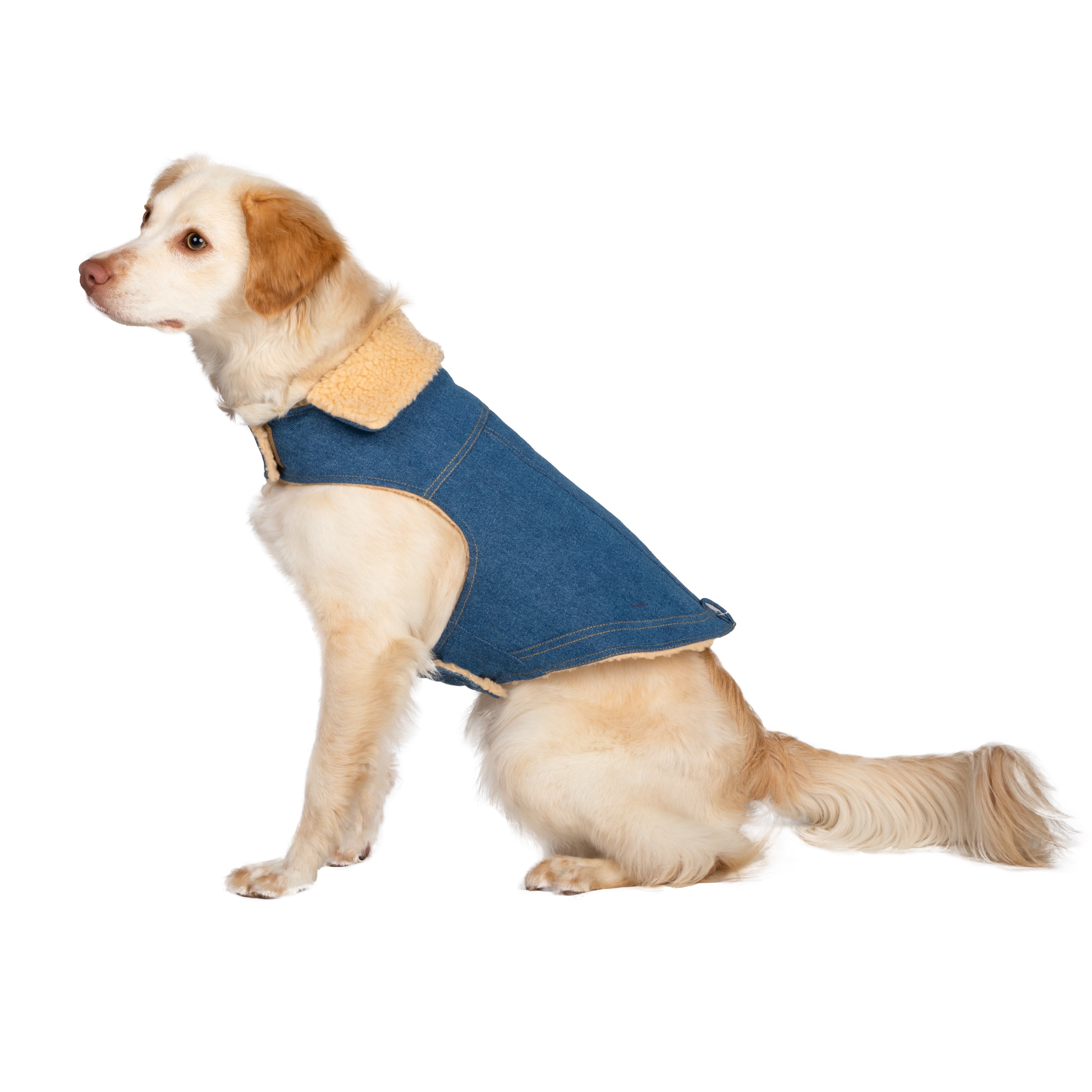 Gap Pet, Dog Clothes, Blue Denim Pet Jacket
