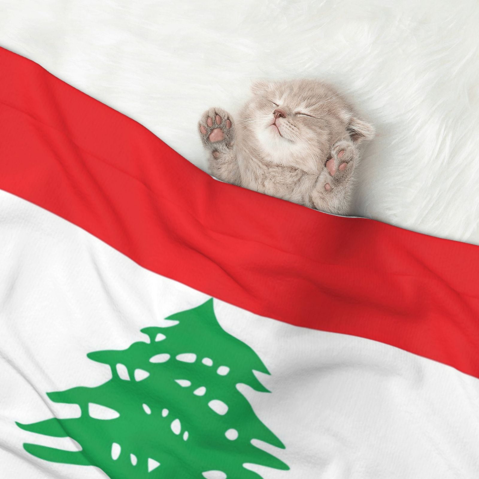 Flannel Throw Dog Blanket Lebanese Flag Soft Warm Print Pet Blankets for Small Dog Cat Puppy