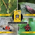 Harris PEST CONTROL Spotted Lanternfly Killer INSECTICIDE, BUG SPRAY, 1