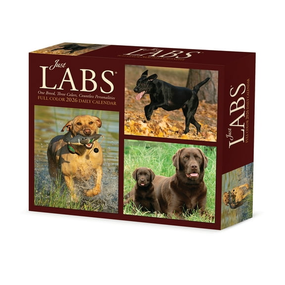 Just Labs 2026 Box Calendar, (Paperback)