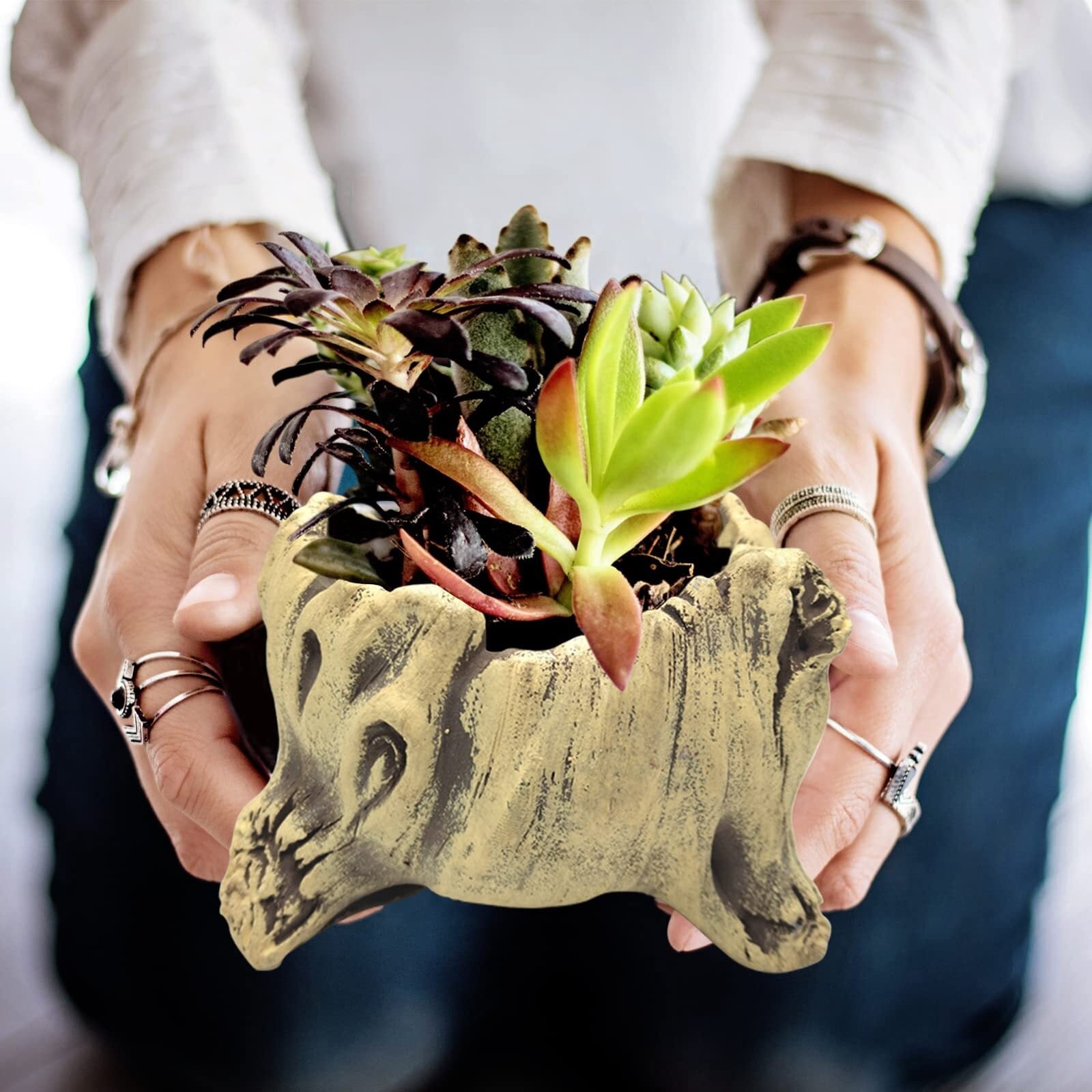 Pastoral Style Vintage Gardening Pots Bonsai Pot, Imitation Wood Concrete Flower Pot Succulent Cactus Bonsai Planter Pots Container, Size 5.6L x 4.5W x 3.9H