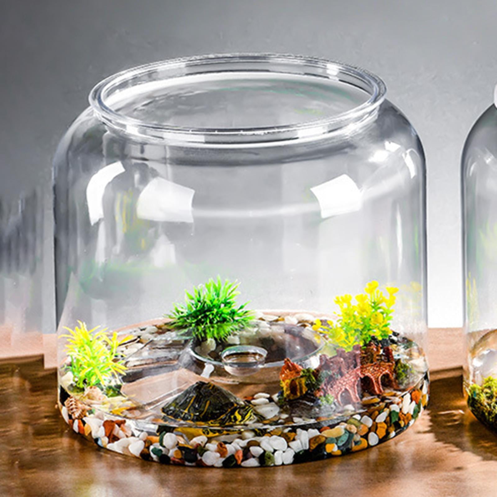 balikha Turtle Container Desk Versatile Step Terrarium for Dorm Farmhouse Restaurant XL without lid