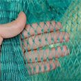 thumbnail image 1 of Bird protection net Fine mesh Cat net Window Without drilling Bird net Balcony 1.5 x1.5cm large for farms Viticulture and orchard,1x10m, 1 of 5