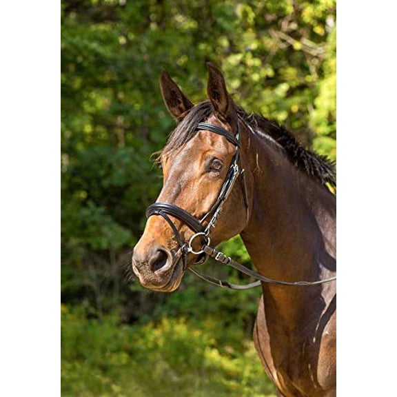 Shires Avignon Aspen Bridle Black Cob