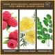 thumbnail image 3 of Lápiz labial Burt's Bees 100% natural y brillante Rose Falls, 3 of 9