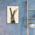 thumbnail image 4 of Epic Art 'European Hare II' by Ethan Harper, Acrylic Glass Wall Art, 16"x24", 4 of 8