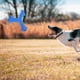 thumbnail image 5 of Boomerang al aire libre, Boomerang volador, Boomerang, juguete volador al aire libre, Boomerang deportivo, 5 of 7