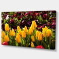thumbnail image 2 of Beautiful Yellow Tulips Garden - Large Flower Canvas Art Print, 2 of 3