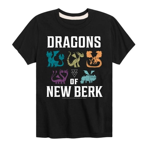 How to Train Your Dragon - Dragons Of New Berk - Toddler & Youth Short Sleeve Graphic T-Shirt