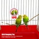thumbnail image 4 of Juguete para loros, columpio, espejo de cuero colgante, juguete para pájaros, espejo para pájaros, calidad superior, 4 of 9