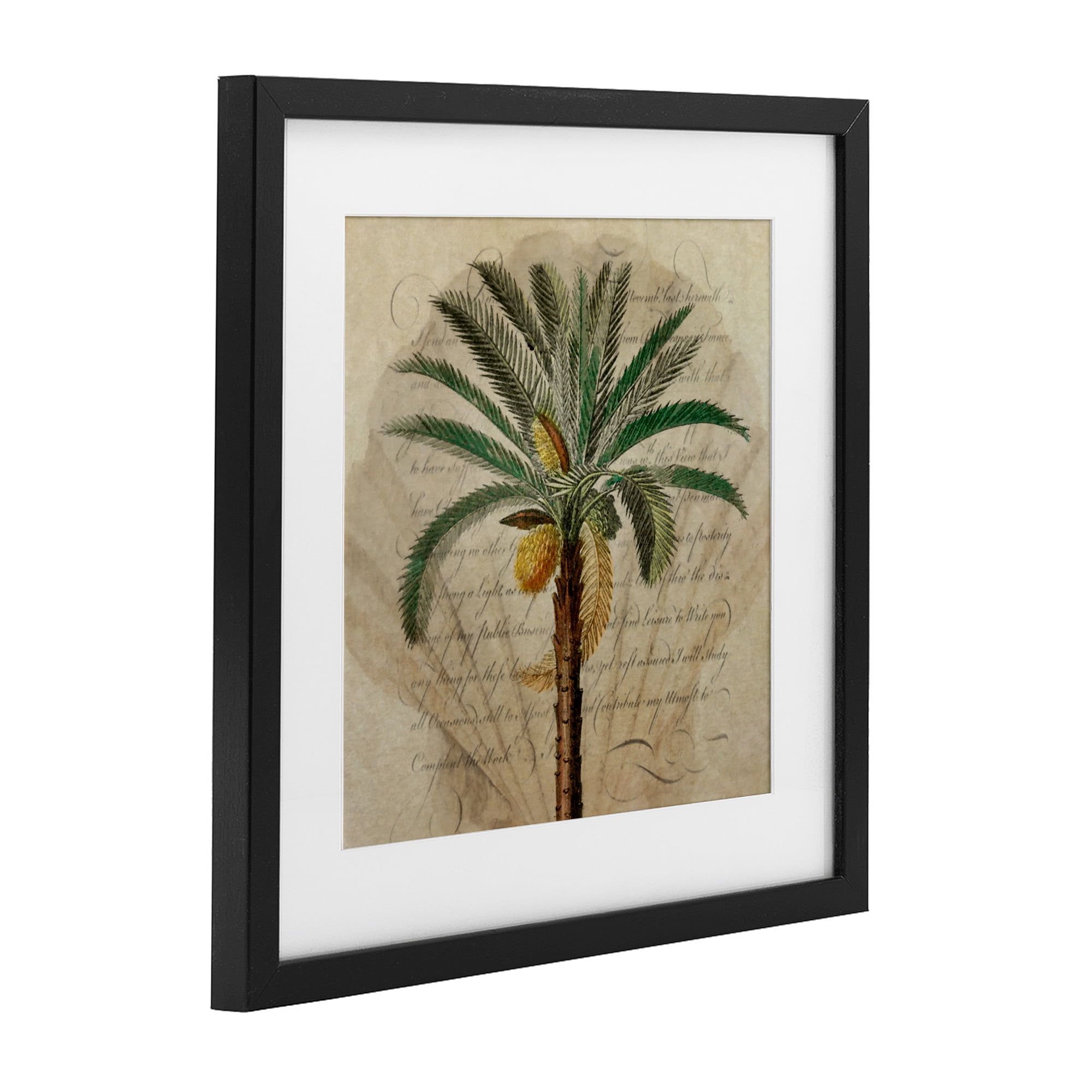 Stupell Industries Vintage Subdued Palm Black Framed Print Under Glass, design by Steve Hunziker