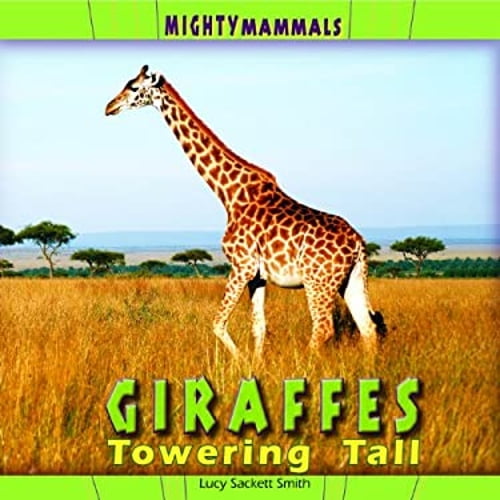 Pre-Owned Giraffes : Towering Tall (Hardcover) 9781404281035