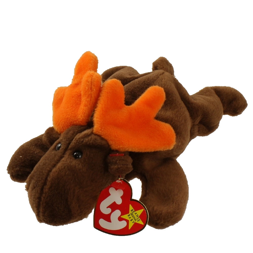 ty beanie moose