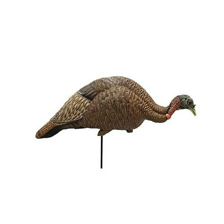 Turkey Hunting Decoys and Accessories - Feeder/Breeder Hen Turkey Decoy