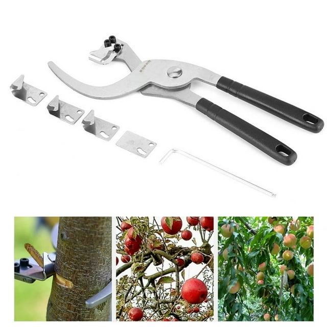 Con 4 Cuchillas De Diferentes Formas Herramientas Manuales De Jardín, Cortador De Ramas De árboles De Alta Y Mano De Obra Fina, Invernadero Para Jardín Doméstico