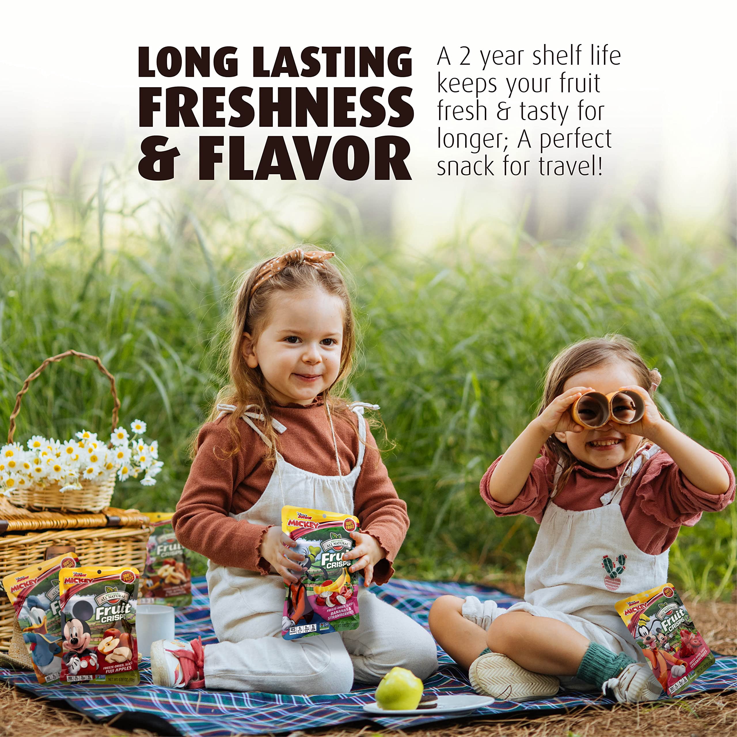Brothers-All-Natural Disney Freeze Dried Snack: Sliced Apples