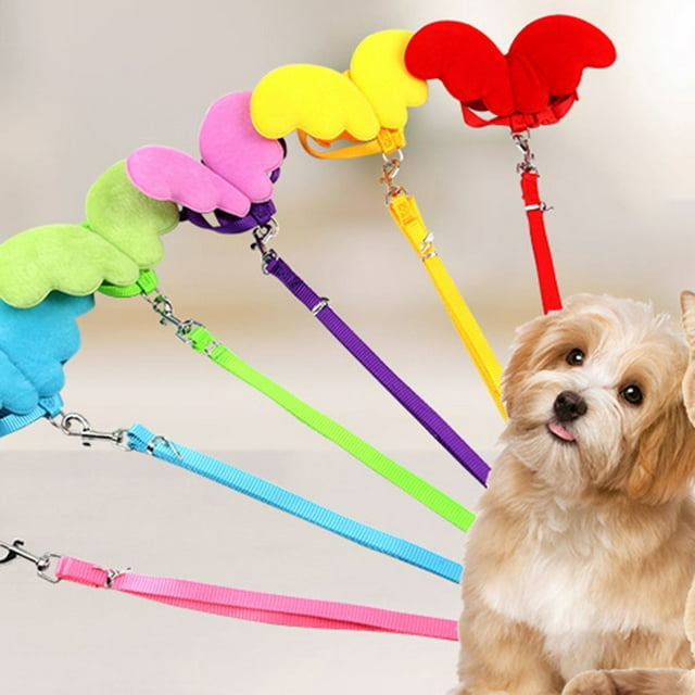 FONDOTIN Laisse pour Animal de Compagnie à Usage Quotidien avec Conception Intégrée à Ailes Bleu 1 Pcs