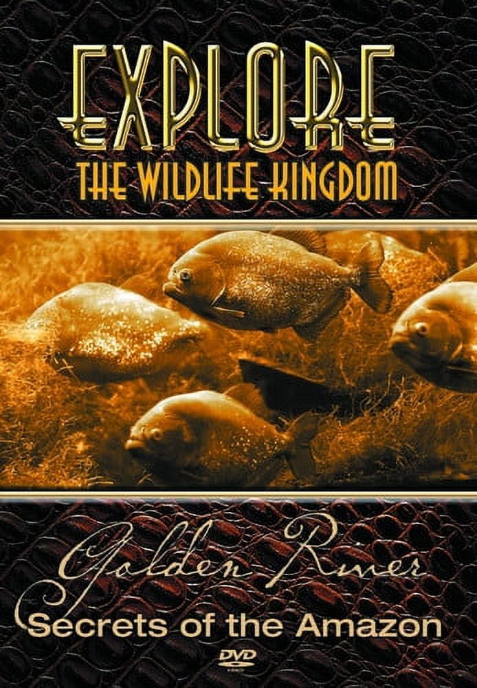 Explore the Wildlife Kingdom: Lions Kings of Africa (DVD